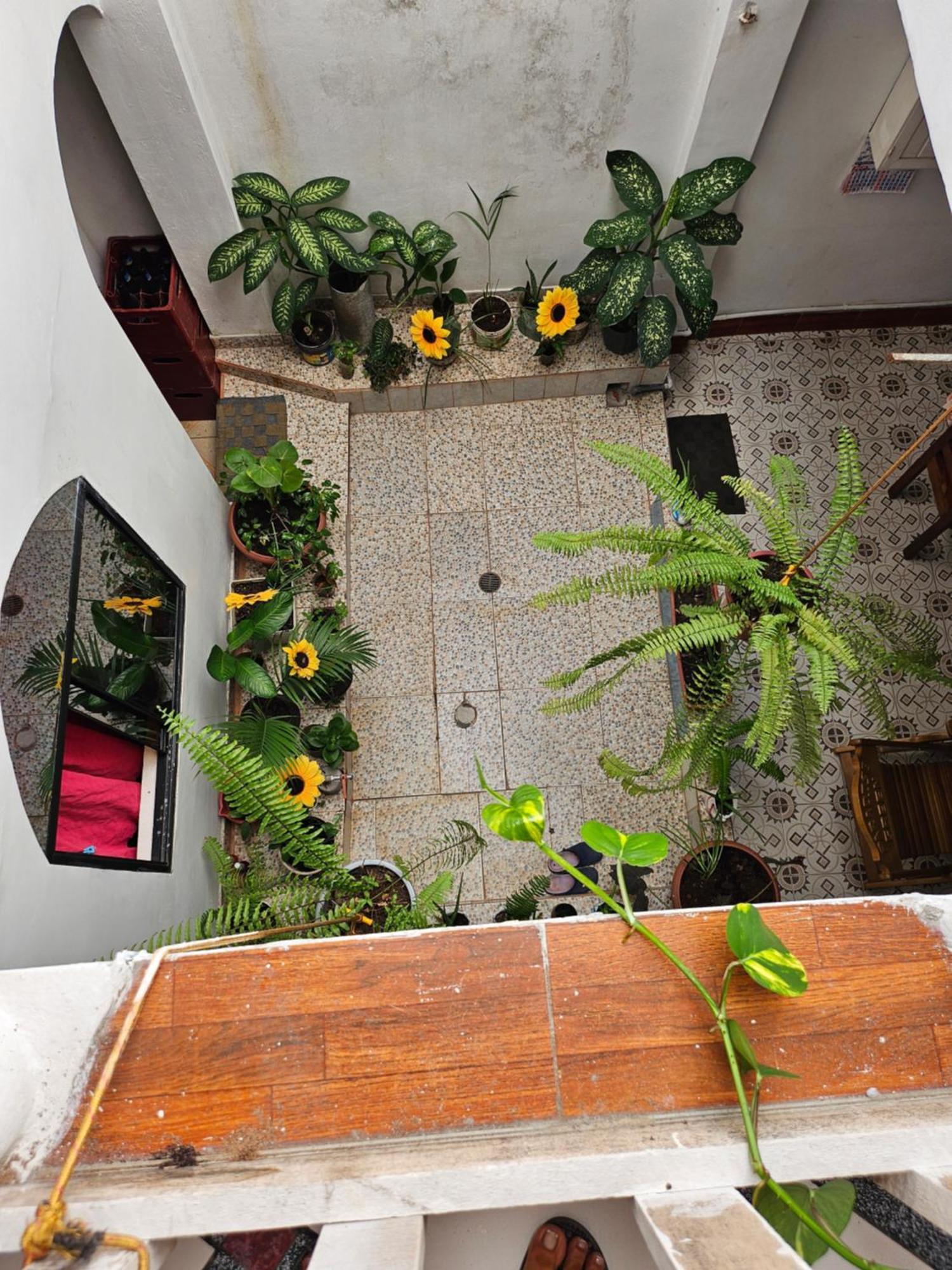 Sarisa House Ξενοδοχείο Ικίτος Εξωτερικό φωτογραφία